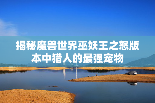 揭秘魔兽世界巫妖王之怒版本中猎人的最强宠物