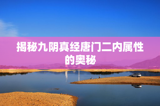 揭秘九阴真经唐门二内属性的奥秘