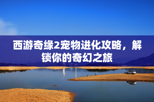 西游奇缘2宠物进化攻略,解锁你的奇幻之旅 西游奇缘2宠物进化攻略,解锁你的奇幻之旅