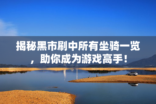 揭秘黑市刷中所有坐骑一览，助你成为游戏高手！