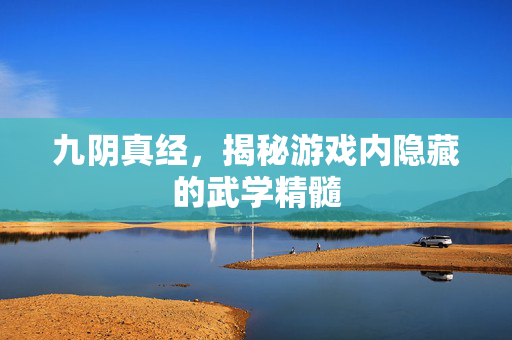九阴真经，揭秘游戏内隐藏的武学精髓