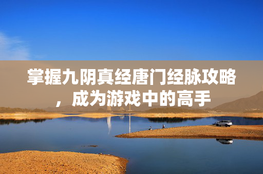 掌握九阴真经唐门经脉攻略，成为游戏中的高手
