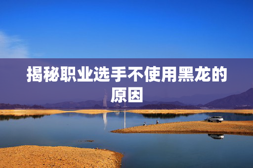 揭秘职业选手不使用黑龙的原因