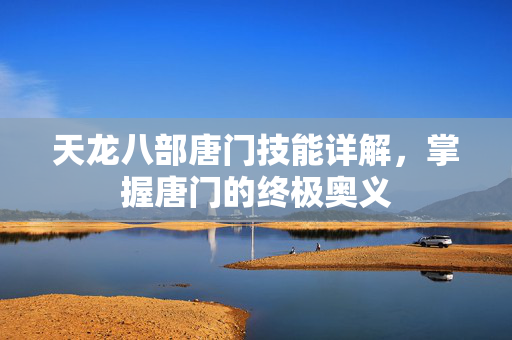 天龙八部唐门技能详解,掌握唐门的终极奥义 天龙八部唐门技能详解,掌握唐门的终极奥义