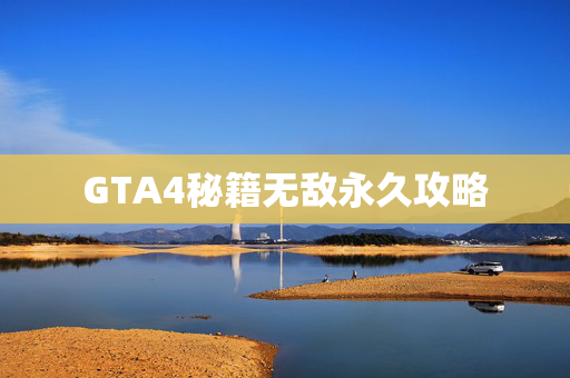 GTA4秘籍无敌永久攻略