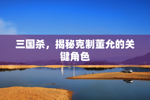 三国杀，揭秘克制董允的关键角色