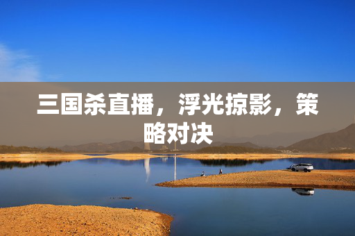 三国杀直播，浮光掠影，策略对决
