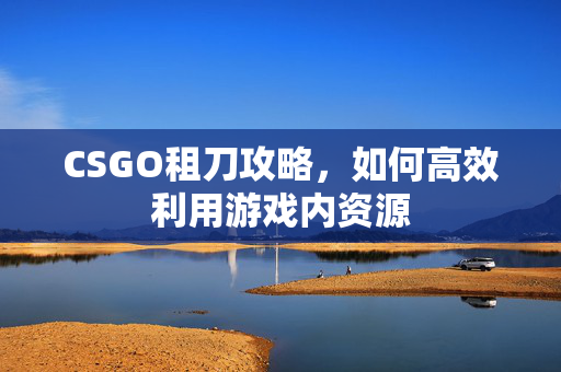 CSGO租刀攻略，如何高效利用游戏内资源