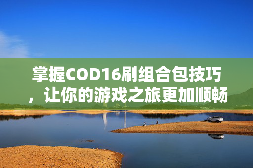 掌握COD16刷组合包技巧，让你的游戏之旅更加顺畅