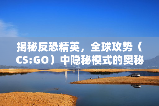 揭秘反恐精英，全球攻势（CS:GO）中隐秘模式的奥秘
