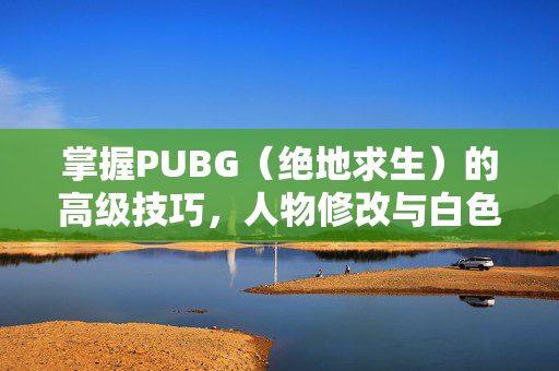 掌握PUBG（绝地求生）的高级技巧，人物修改与白色文件攻略