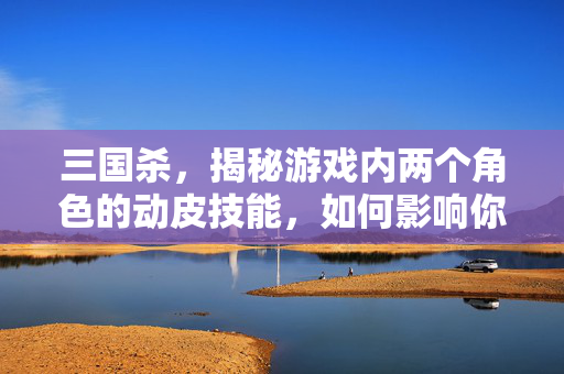 三国杀，揭秘游戏内两个角色的动皮技能，如何影响你的策略选择