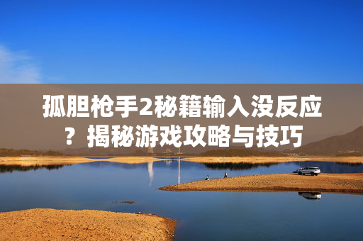 孤胆枪手2秘籍输入没反应？揭秘游戏攻略与技巧