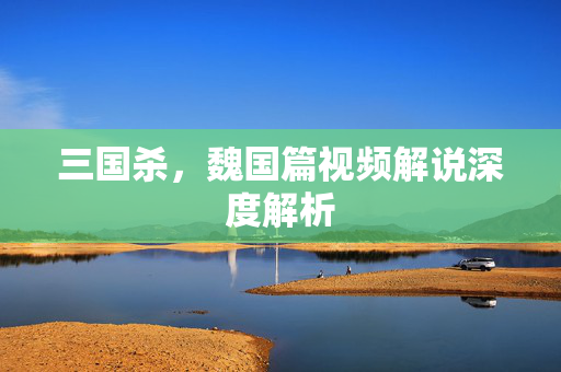 三国杀，魏国篇视频解说深度解析