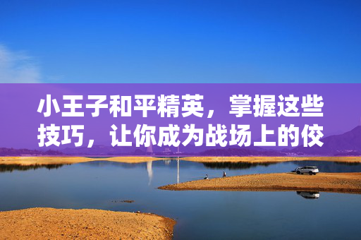 小王子和平精英，掌握这些技巧，让你成为战场上的佼佼者！