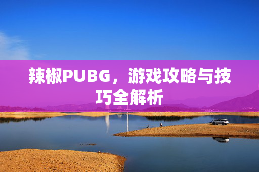 辣椒PUBG，游戏攻略与技巧全解析