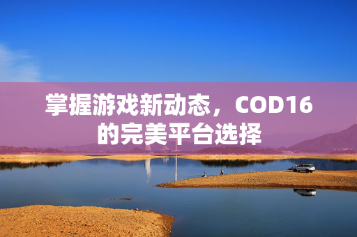 掌握游戏新动态，COD16的完美平台选择