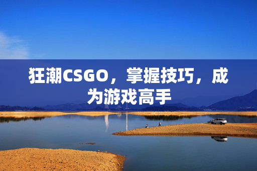 狂潮CSGO，掌握技巧，成为游戏高手