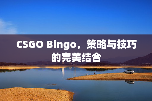 CSGO Bingo，策略与技巧的完美结合