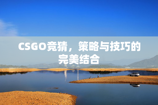 CSGO竞猜，策略与技巧的完美结合