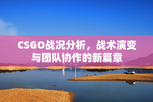 CSGO战况分析，战术演变与团队协作的新篇章