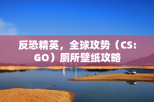 反恐精英，全球攻势（CS:GO）厕所壁纸攻略