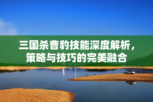 三国杀曹豹技能深度解析，策略与技巧的完美融合