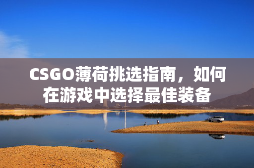 CSGO薄荷挑选指南，如何在游戏中选择最佳装备