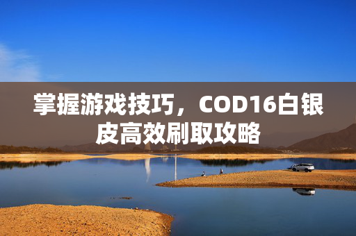 掌握游戏技巧，COD16白银皮高效刷取攻略