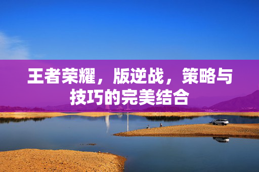 王者荣耀，版逆战，策略与技巧的完美结合
