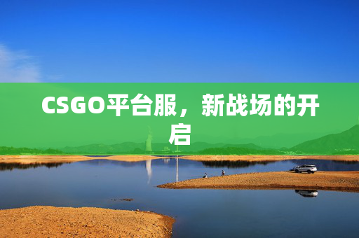 CSGO平台服，新战场的开启