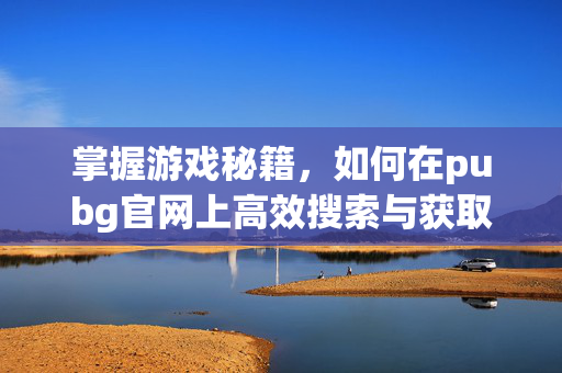 掌握游戏秘籍，如何在pubg官网上高效搜索与获取信息