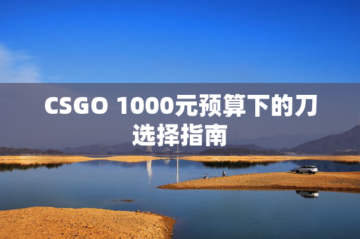 CSGO 1000元预算下的刀选择指南