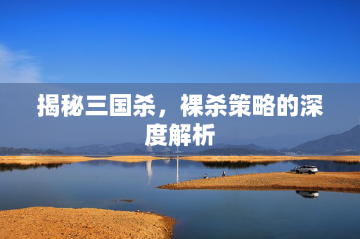 揭秘三国杀，裸杀策略的深度解析