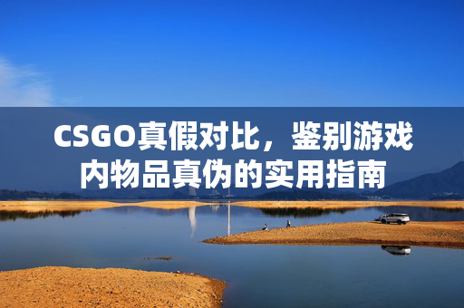 CSGO真假对比，鉴别游戏内物品真伪的实用指南