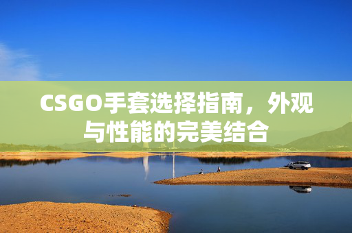 CSGO手套选择指南，外观与性能的完美结合