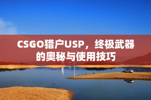 CSGO猎户USP，终极武器的奥秘与使用技巧