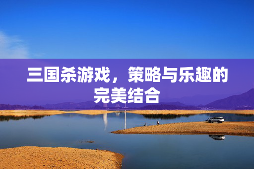 三国杀游戏，策略与乐趣的完美结合