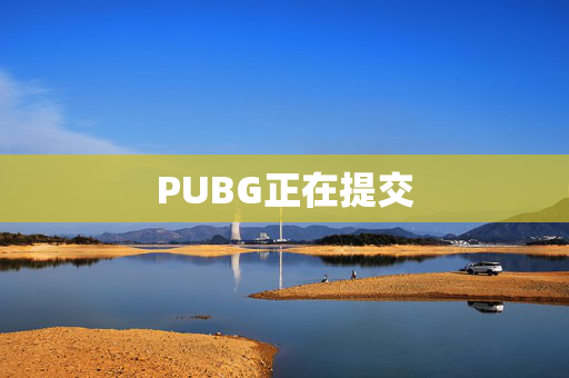 PUBG正在提交