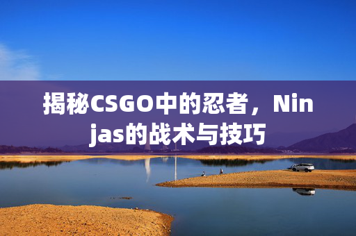 揭秘CSGO中的忍者，Ninjas的战术与技巧