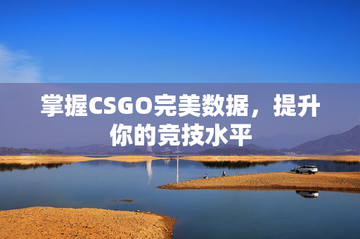 掌握CSGO完美数据，提升你的竞技水平