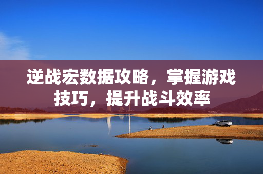 逆战宏数据攻略，掌握游戏技巧，提升战斗效率
