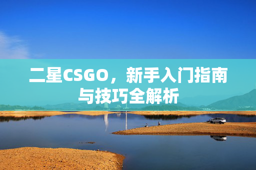 二星CSGO，新手入门指南与技巧全解析