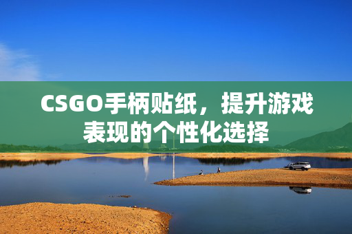 CSGO手柄贴纸，提升游戏表现的个性化选择