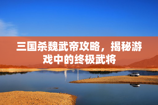三国杀魏武帝攻略，揭秘游戏中的终极武将
