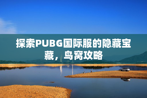 探索PUBG国际服的隐藏宝藏，鸟窝攻略