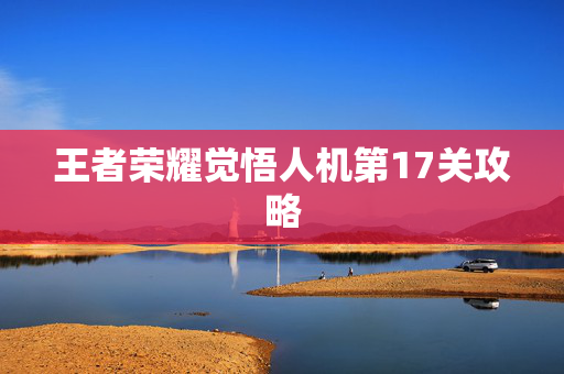 王者荣耀觉悟人机第17关攻略