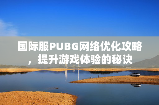 国际服PUBG网络优化攻略，提升游戏体验的秘诀