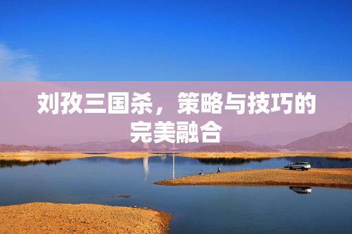 刘孜三国杀，策略与技巧的完美融合
