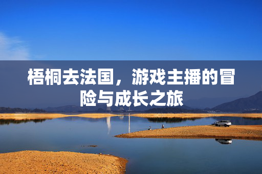 梧桐去法国，游戏主播的冒险与成长之旅